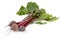 Group of chard with three beetroots on white background