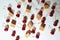 Group of cherry on a white background with cubes of reed sugar and shadows. Close-up. Top view