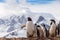 Group of chick penguins on the stone nest on the Antarctica background. Gentoo baby, Argentine Islands antarctic region