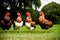 A Group Of Chickens Standing On Top Of A Lush Green Field. Generative AI