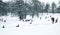 Group of children and adult playing on snow in winter time