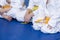 Group of children in kimono sitting on tatami