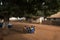 Group of children playing a game of checkers under a tree in the town of Nhacra in Guinea Bissau