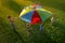 Group of children and teachers playing with rainbow playground parachute on green grass, above view. Summer camp activity