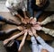 Group of christianity people praying hope together