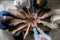 Group of christianity people praying hope together