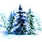 Group of christmas trees covered snow in winter isolated
