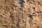 Group of climbers on top of rock hanging by a cliff