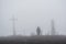 Group of climbers walking in the fog