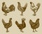 Group of cocks and hens from of different chicken breeds isolated on an ocher background