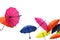 Group of color umbrellas on white background