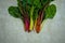 A group of colorful beets and chards on the table Pesaro, Italy