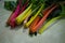 A group of colorful beets and chards on the table Pesaro, Italy