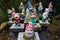 A Group of Colorful Garden Gnomes