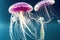 Group of colorful glowing jellyfish phyllorhiza punctata swimming in water aquarium tank. Floating bell australian