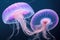 Group of colorful glowing jellyfish phyllorhiza punctata swimming in water aquarium tank. Floating bell australian