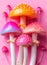 A group of colorful mushrooms on a pink background