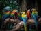 A group of colorful parrots perched on branches in the jungle