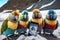 Group of colorful parrots sitting on the snow and taking a selfie
