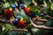 A group of colorful parrots in a tropical rainforest