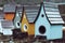 Group of colorful wooden nesting box or birdhouses