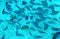 Group of coral fish in blue water.Red sea.