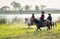 Group of cowboy control horse to walk through grass field cover by water near river and show some splash during walking