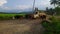 A group of cows returning to the farm after pasture