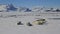 Group crabeater seals lying on ice against the backdrop of the mountains