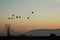 Group of cranes flying at sunset in backlight over a frozen valley