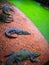 Group of crocodiles are resting at zoo in Thailand