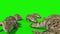 Group of Crocodiles Walks Front Green Screen 3D Rendering Animation