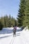 Group of cross-country Skiers runs on groomed ski track in sunny winter day.