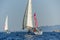 Group of cruising sailboats is sailing in the Mediterranean sea.