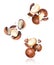 Group of crushed macadamia nuts in the air close-up on a white background