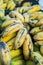 Group of cultivated bananas