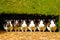A group of cute looking guinea pigs looking straight ahead generated by ai