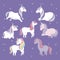 Group of cute unicorns animals