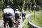 Group of cyclists lined in the italian road