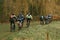 Group of cyclists travel by bike in a forest