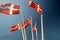 Group of Danish flags