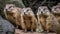 A group of dassies also known as rock hyraxes created with Generative AI