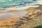 Group of dead fishes in the sand of the beach after the overflowing of the rivers. climate change