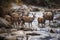 Group Of Deer Crossing A Mountain Stream. Generative AI