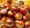 A group of delicious Chestnuts