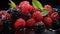 Group of Delicious Fresh Blackberries With Splashing Water on Dark Defocused Background