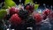 Group of Delicious Fresh Blackberries With Splashing Water on Dark Defocused Background