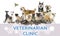 Group of different cute pets and text VETERINARIAN CLINIC on background