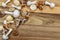 A group of different edible and poisonous mushrooms from the garden lawn. Autumn background.