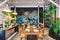 Group dining table set decorated with table, wooden chairs, green plant and white scratch texture wallpaper. Modern interior.